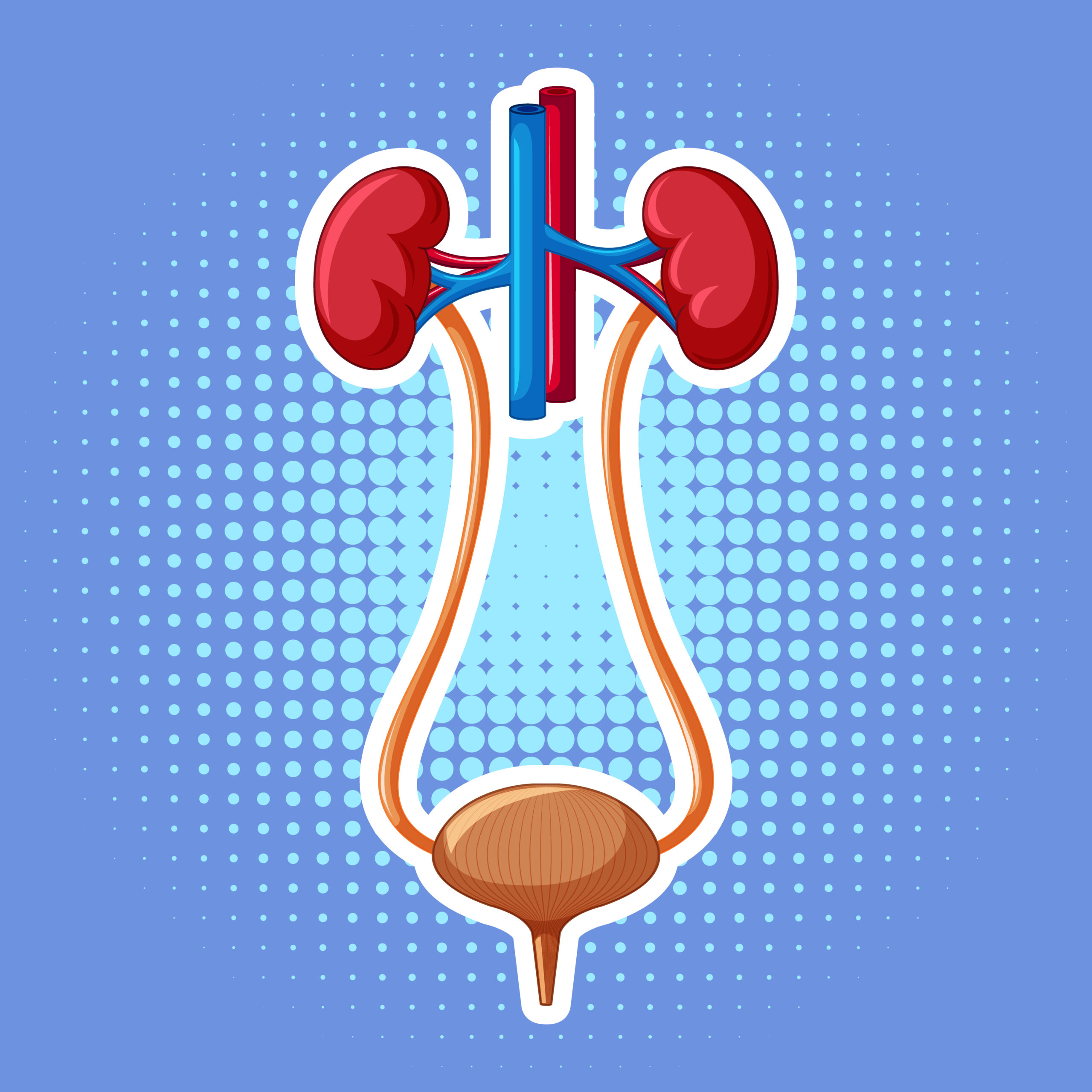 Urology Specialist Johannesburg